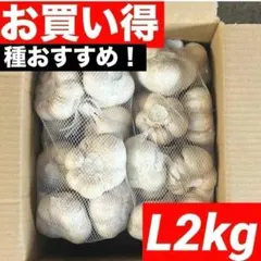 福地村産 元祖福地ホワイト L kg 青森県産 半生 にんにく 夏坂ふぁーむ