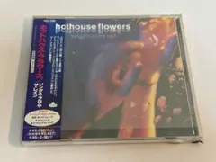 ホットハウス・フラワーズ/ソングス・フロム・ザ・レイン