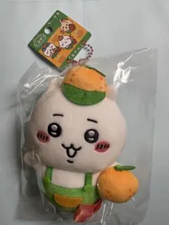 ‼️ご当地限定‼️　ちいかわ　静岡 山梨　みかん ぶどう　コンプリート　入手困難 ご当地限定‼️ ちいかわ 静岡 山梨 みかん ぶどう コンプリート 入手