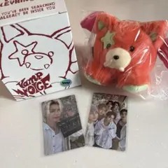 ENHYPEN VANISH ボイスキーリング　ニキ　ぬいぐるみ