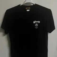 2025年最新】goro's 割引オプション：通常商品 Tシャツの人気アイテム