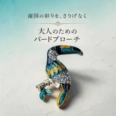 オオハシブローチ トゥーカン バードモチーフ ビジュー ストールピン 上品アクセ