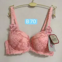 トリンプ　プレミアム レッドレーベル TR0084 ブラジャー　B 70