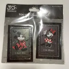 東京ディズニーリゾート ハロウィンピンバッジセット