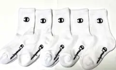 Item thumbnail for item e1823ef4-488b-4b09-9b74-ff9afbbf7048