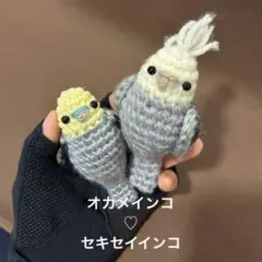 ◇ オカメインコ♡セキセイインコ♡インコ♡カラス♡文鳥　あみぐるみ　かぎ針編み
