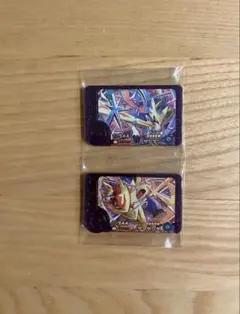 ポケモンフレンダ ザシアン ザマゼンタ