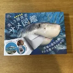 デイジー様 リクエスト 2点 まとめ商品