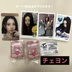 TWICE LOVELYS マスコットチャーム チェヨン 2個セット