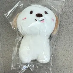 RIIZE アントン モンリョンイ 10cm ぬいぐるみ キーリング