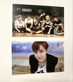 BTS DARK & WILD J-HOPE & ALLメンバートレカセット