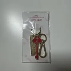 【新品未開封】IVE dive Japan 入会特典オリジナルキーホルダー