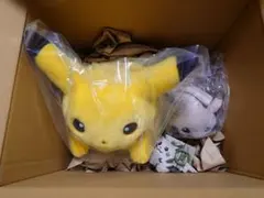 ポケモン30周年 おかえり！ピカチュウ はじまりのピカチュウ　3点セット