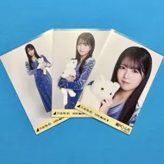 瀬戸口心月 【匿名配送】エレガント コンプ 乃木坂46 生写真 March