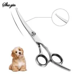 Item thumbnail for item ff249f92-e165-4d81-b535-d176dafe9337