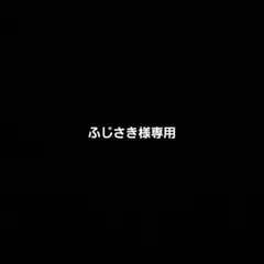 ふじさき様専用ページ