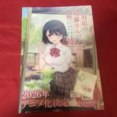 塩対応の佐藤さんが俺にだけ甘い クリアファイル AnimeJapan - メルカリ