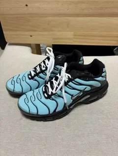 2026年最新】NIKE AIR max plus light retroの人気アイテム - メルカリ