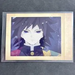 鬼滅の刃　ぱしゃこれ　冨岡義勇①
