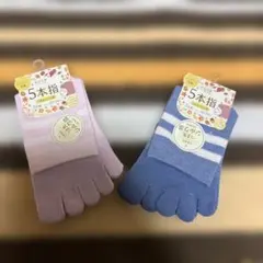 【新品未使用】5本指ソックス 2足組 2セット シルク混紡 22-24cm