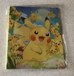 専用【ポケモン ピカチュウ】Collection File クリアポケット10枚