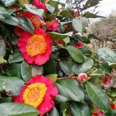 プロフ確認宜しく‼//あっくんママ様 リクエスト 3点 まとめ商品