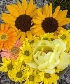 猫まんま様 リクエスト 2点 まとめ商品