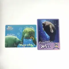 レア 鳥羽水族館 コレクションカード 第2弾 マナティー みらい かなた