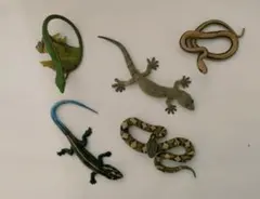 トカゲとヘビの5種