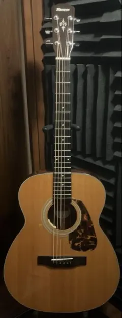 2026年最新】morris f-351の人気アイテム - メルカリ