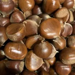 メル71741様 リクエスト 2点 まとめ商品