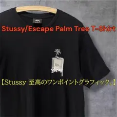 【美品】ステューシー Tシャツ M 黒 パームツリー 男女兼用ジャックのサムネイル