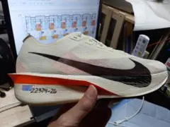 【新品未使用:25.0cm】NIKEストリークフライ2 プロト