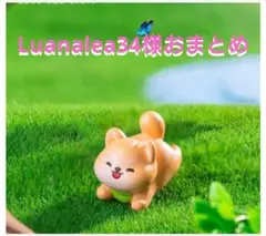Luanalea34様おまとめ