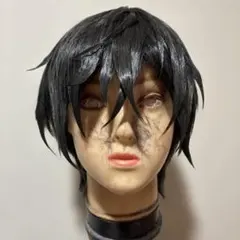 四季凪アキラ コスプレ ウィッグ セット済み にじさんじ 2026年最新】四季凪アキラ コスプレの人気アイテム - メルカリ