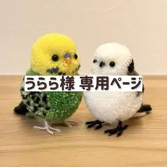 【うらら様専用ページ】　動物　ぽんぽん　インコ　小鳥　セキセイインコ　シマエナガのサムネイル