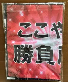 【新品未開封] オリックス バファローズ　応援タオル2026のサムネイル