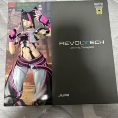 リボルテック アメイジングヤマグチ ハン・ジュリ フィギュア - メルカリ