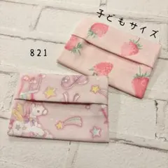 【821】ミニサイズ　ポケットティッシュケース　２個セット
