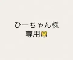 ひーちゃん様専用