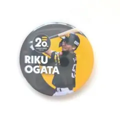 即購入不可 ソフトバンクホークス缶バッジ 中村晃 福岡ソフトバンクホークス20周年缶バッチ - メルカリ