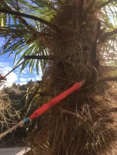 Ponpokoおじさん様 リクエスト 2点 まとめ商品