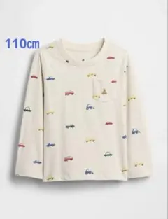 Item thumbnail for item 03daf876-a792-438f-b90e-0efc010422ce