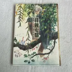 2026年最新】蟲師 画集 漆原 友紀の人気アイテム - メルカリ