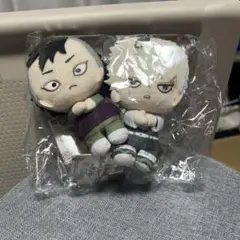 鬼滅の刃 ぽふっとぬいぐるみ 2体セット 不死川さんとこの兄弟