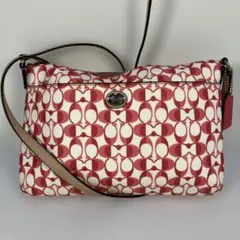 Item thumbnail for item 4554a817-a5b6-4275-8e67-564cc89fbd2a