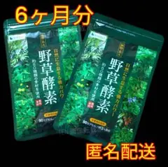 【自然に生息する野草の強力パワーを1粒に】野草酵素 6ヶ月