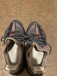 adidas Yeezy Boost 350 v2 