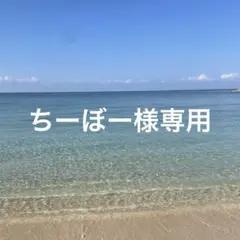 【ちーぼー様専用】海のiPhone16eケース　ハワイアン雑貨