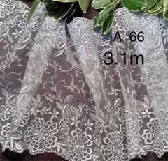 Item thumbnail for item 81962610-ee98-41ba-a694-ca4a1383c40c